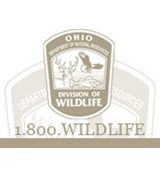 Logo for Wildlife Council 